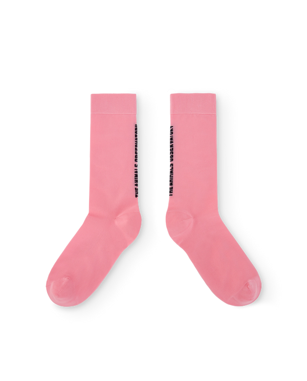 Pink Snail Socks PRODUCT FRONT
