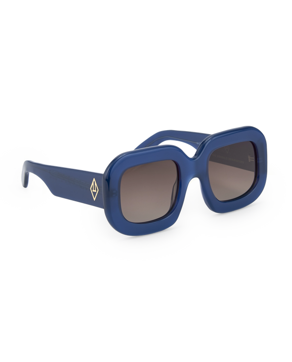 Navy Sunglasses PRODUCT BACK
