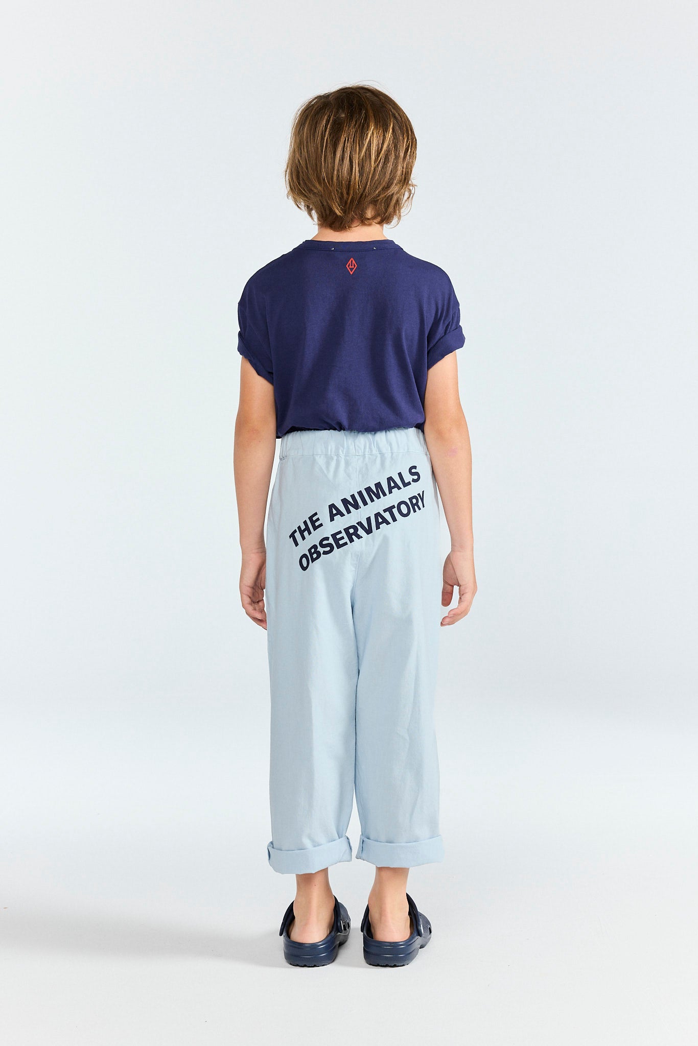 Deep Blue Pupfish T-Shirt MODEL BACK