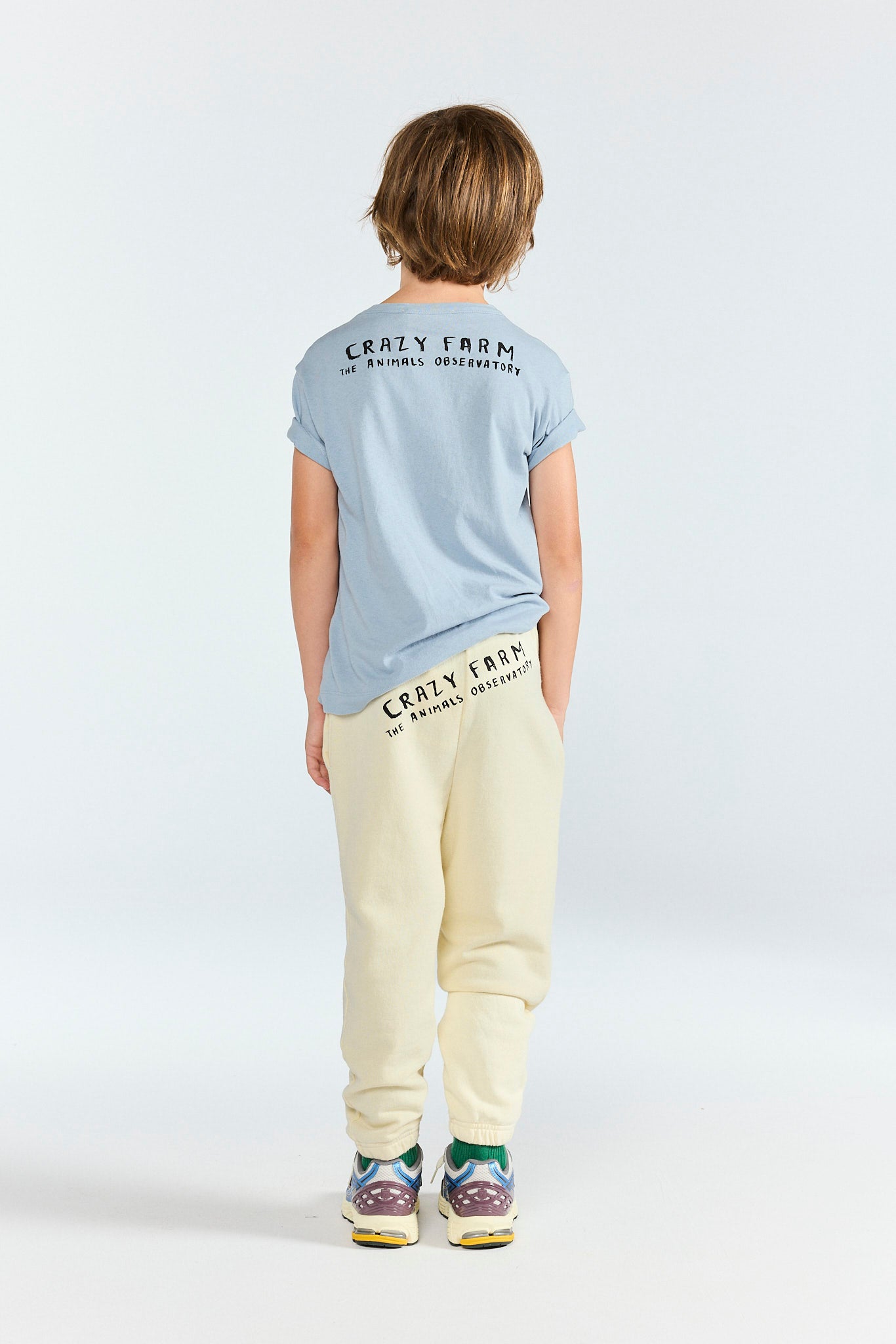 Blue-Grey Rooster T-Shirt MODEL BACK