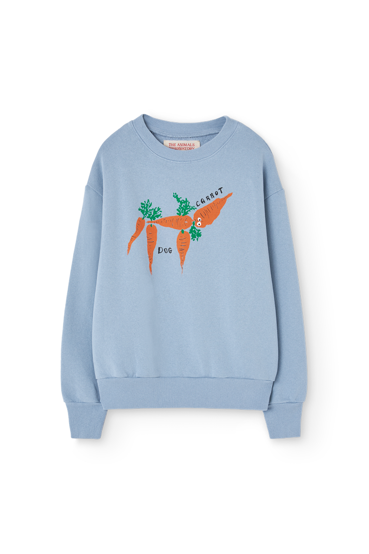 Blue-Grey Bear Sweatshirt PRODUCT FRONT