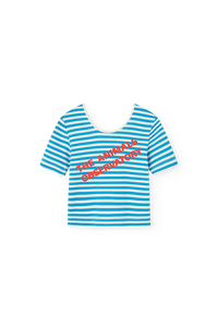 Blue Hippo Top COVER