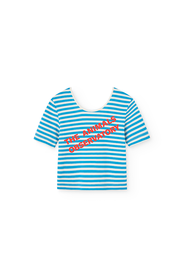 Blue Hippo Top COVER