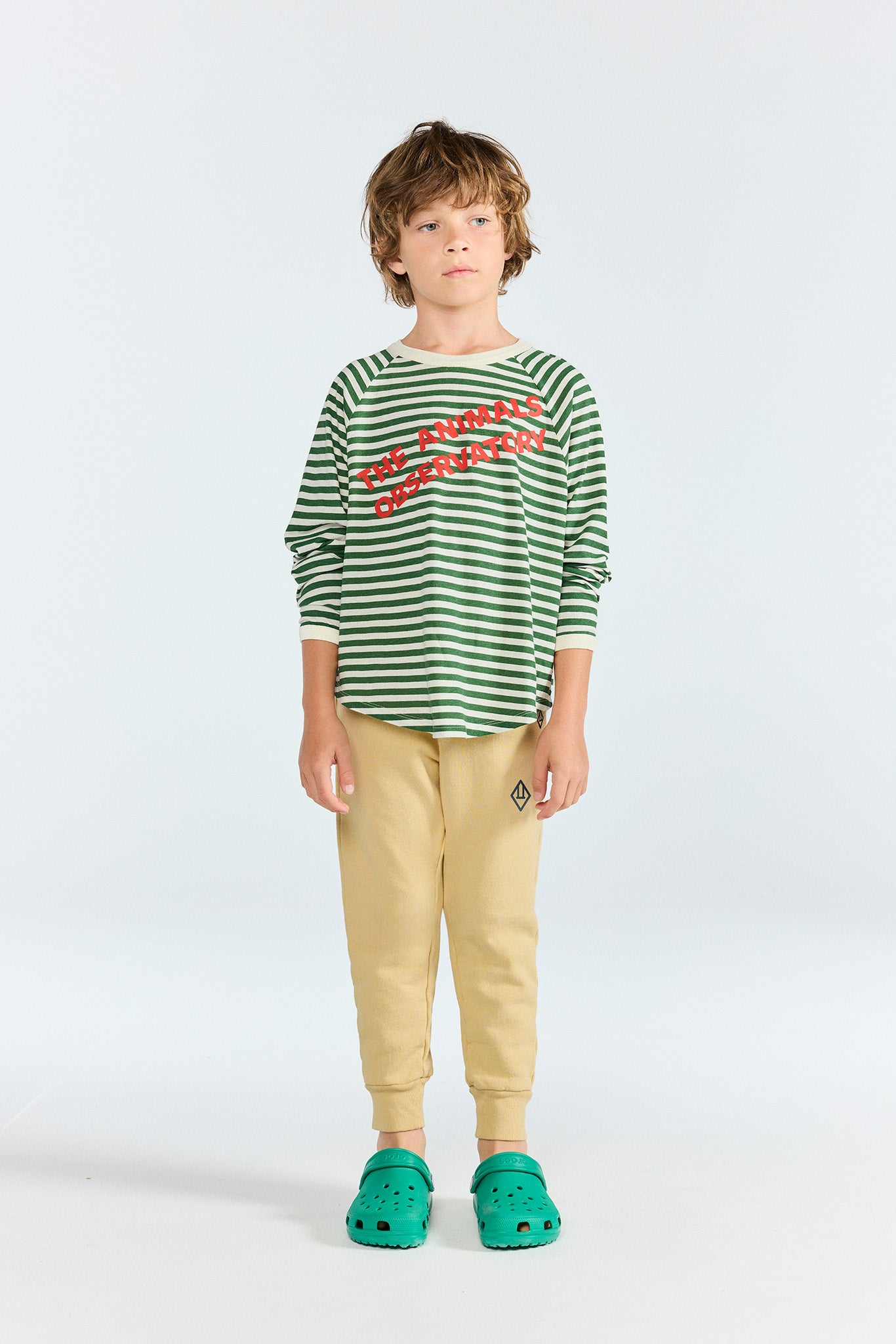 Striped Dark Green Anteater Long Sleeve T-shirt