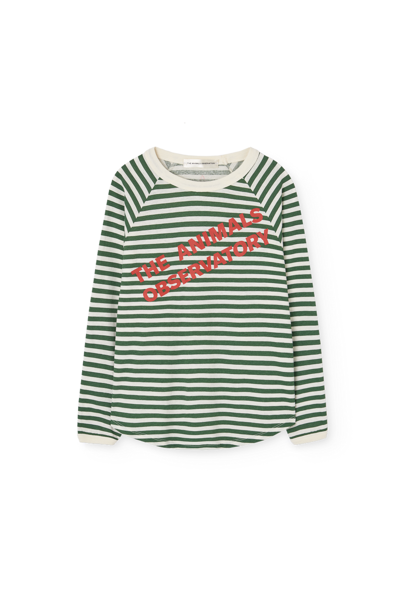 Striped Dark Green Anteater Long Sleeve T-shirt COVER