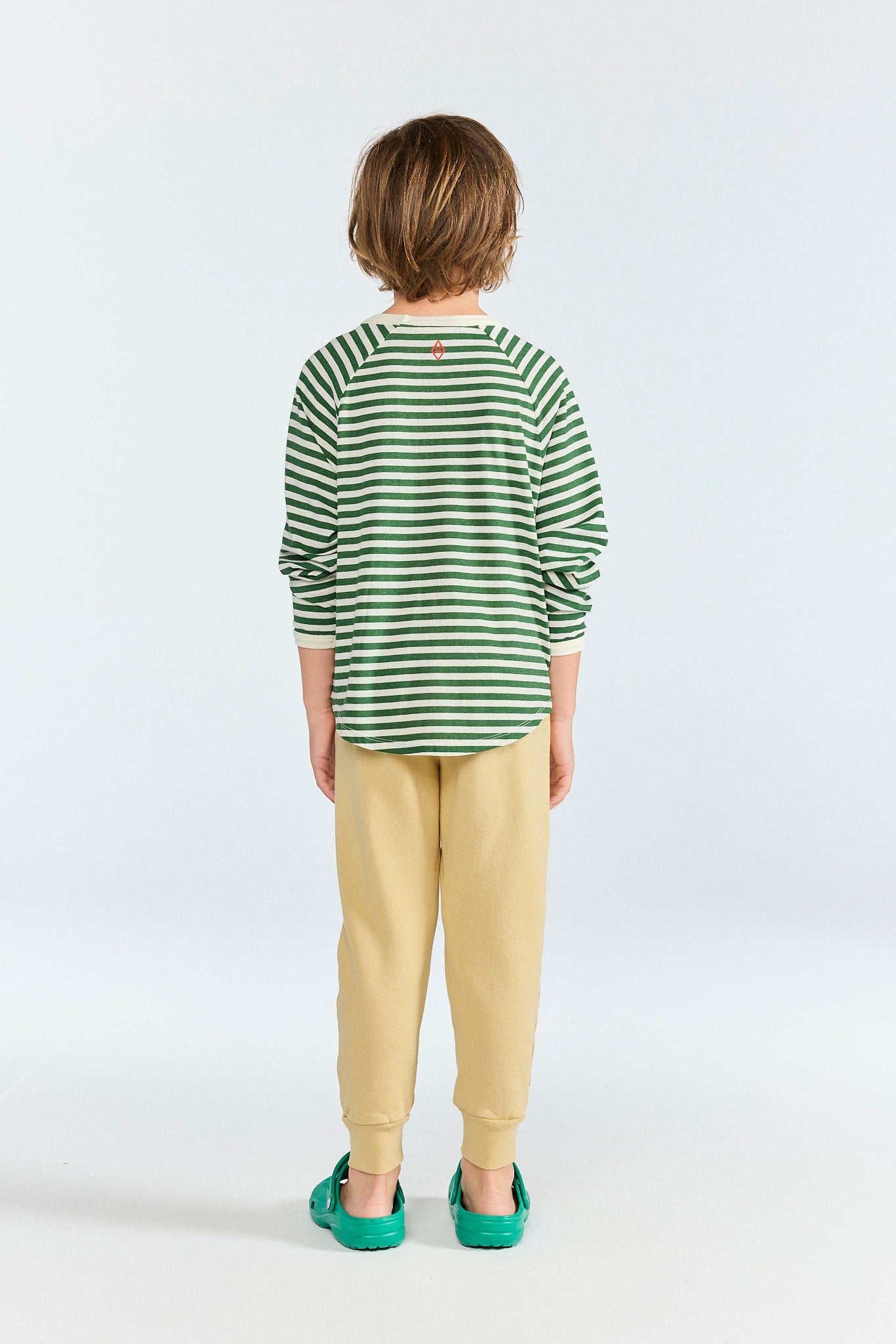 Striped Dark Green Anteater Long Sleeve T-shirt MODEL BACK