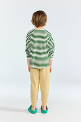 Striped Dark Green Anteater Long Sleeve T-shirt MODEL BACK