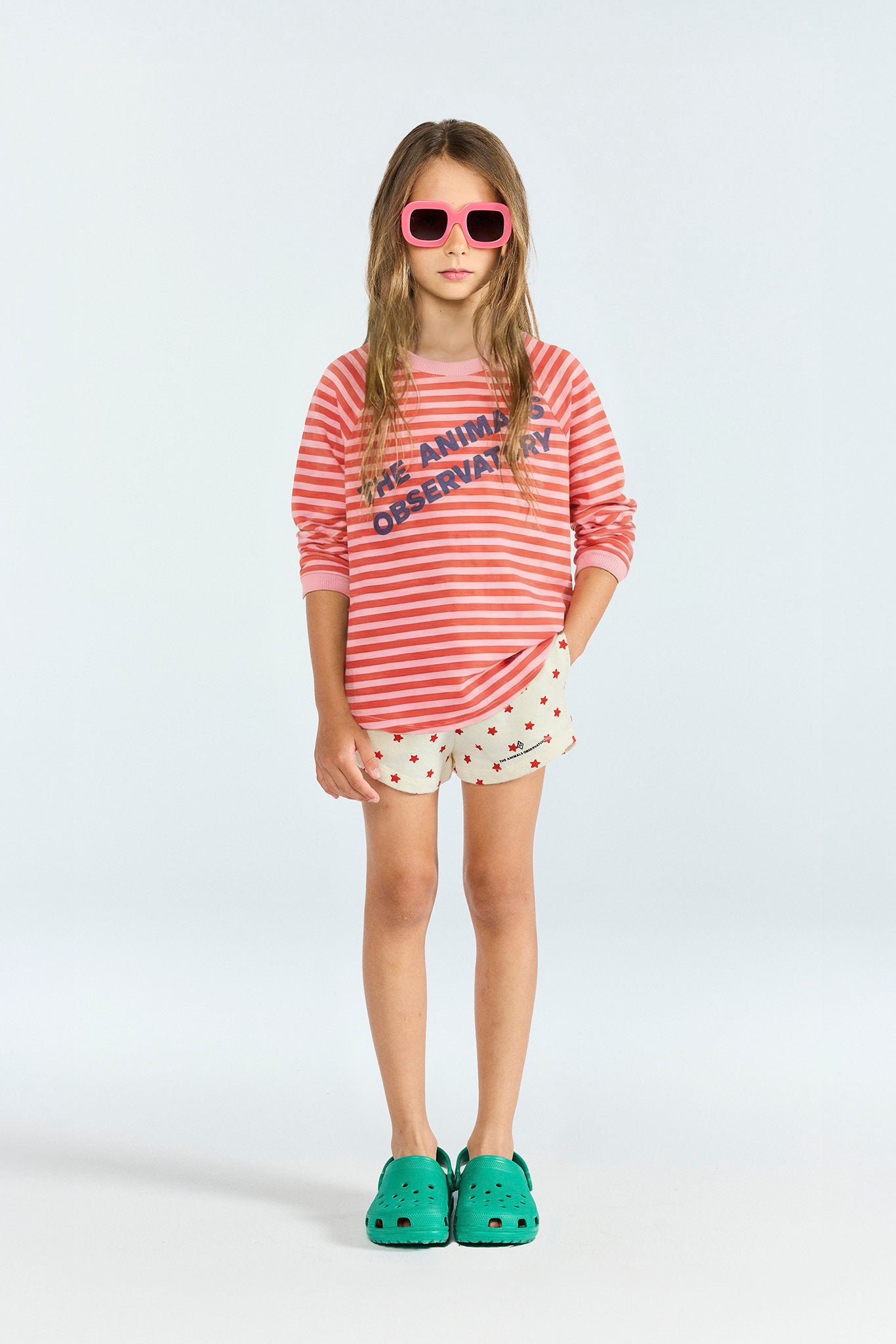 Striped Pink Anteater Long Sleeve T-shirt | The Animals Observatory