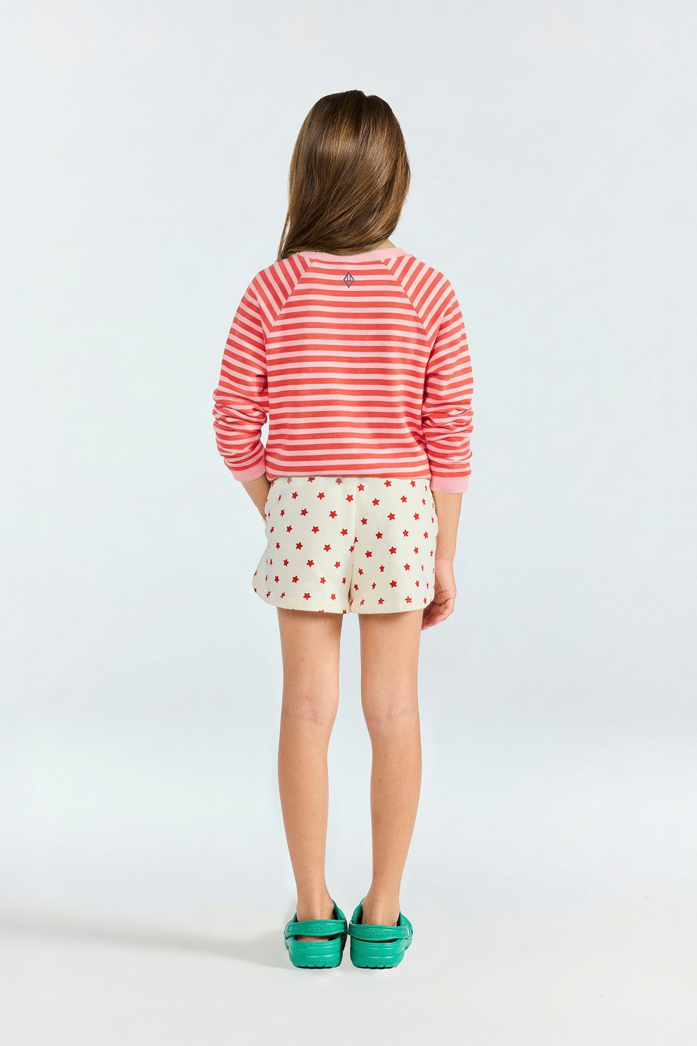 Striped Pink Anteater Long Sleeve T-shirt | The Animals Observatory