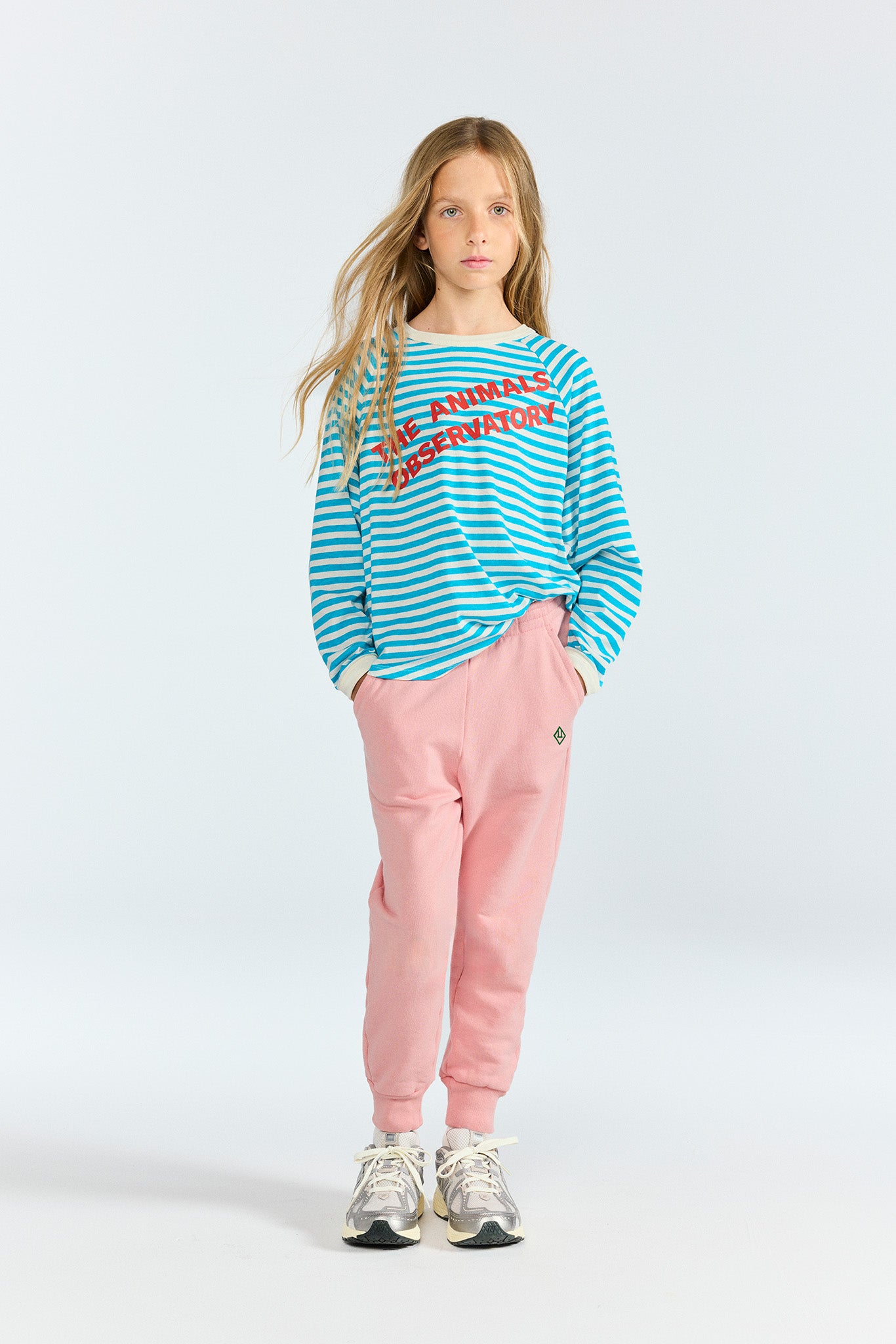 Camiseta de manga larga Anteater Azul a rayas