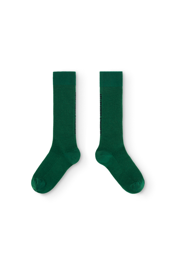 Green Worm Socks PRODUCT FRONT