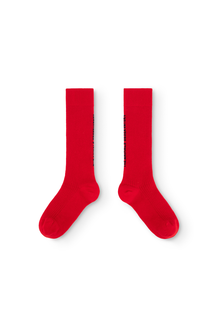 Red Worm Socks PRODUCT FRONT