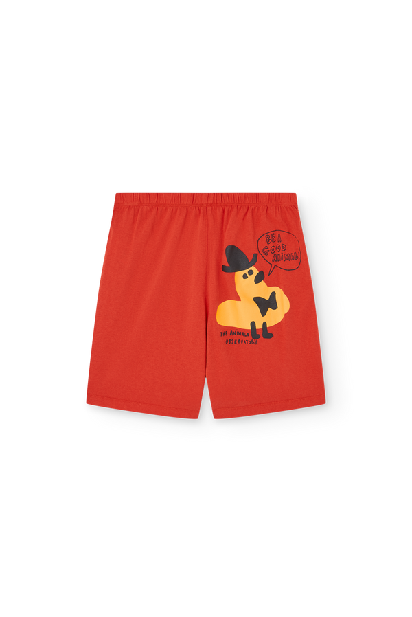 Red Mole Bermuda Shorts PRODUCT BACK