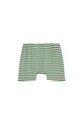 Striped Dark Green Sardine Shorts
