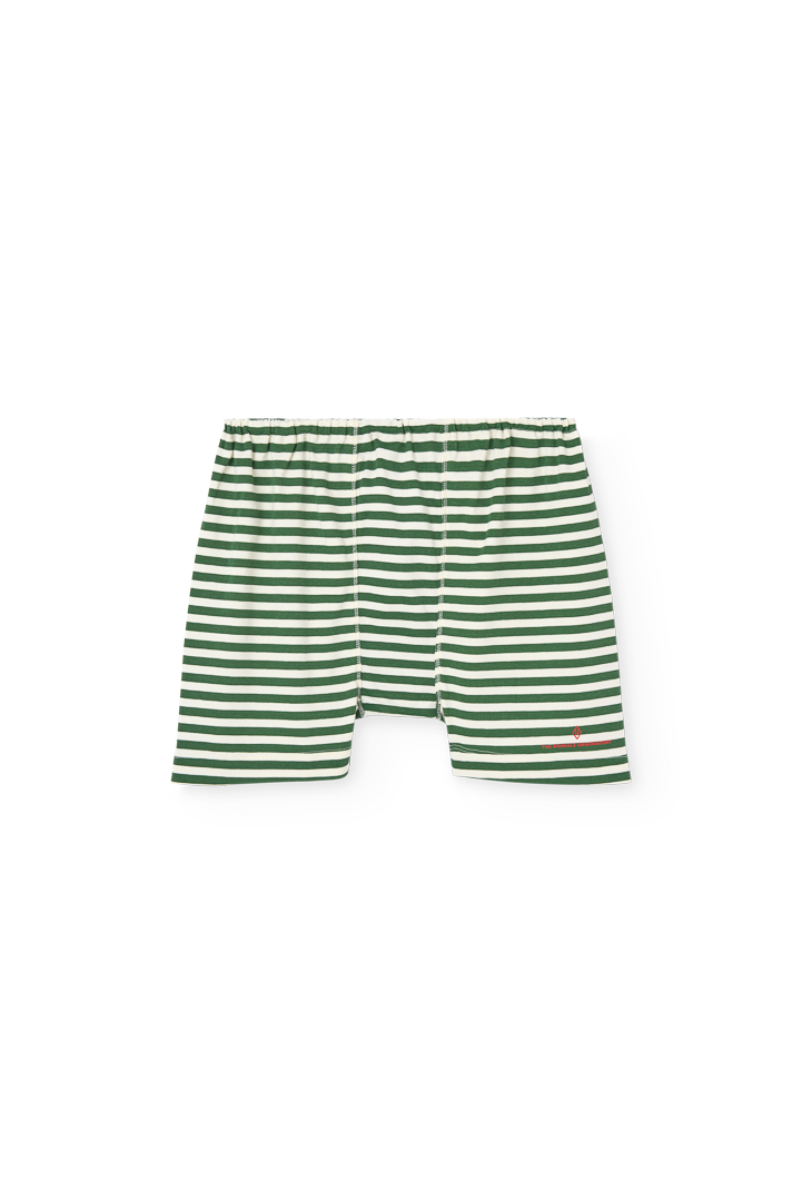 Striped Dark Green Sardine Shorts COVER
