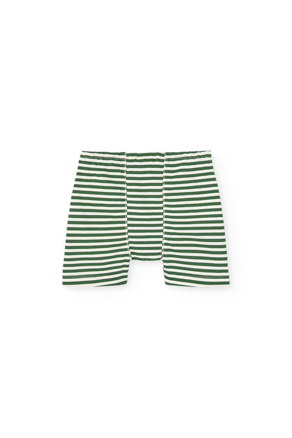 Striped Dark Green Sardine Shorts PRODUCT BACK