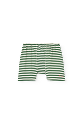 Striped Dark Green Sardine Shorts PRODUCT FRONT