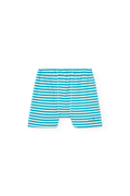 Striped Blue Sardine Shorts