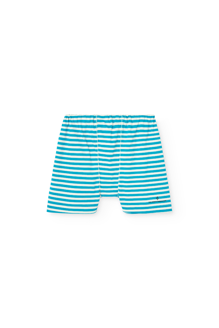 Striped Blue Sardine Shorts COVER