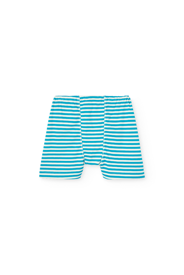 Striped Blue Sardine Shorts PRODUCT BACK