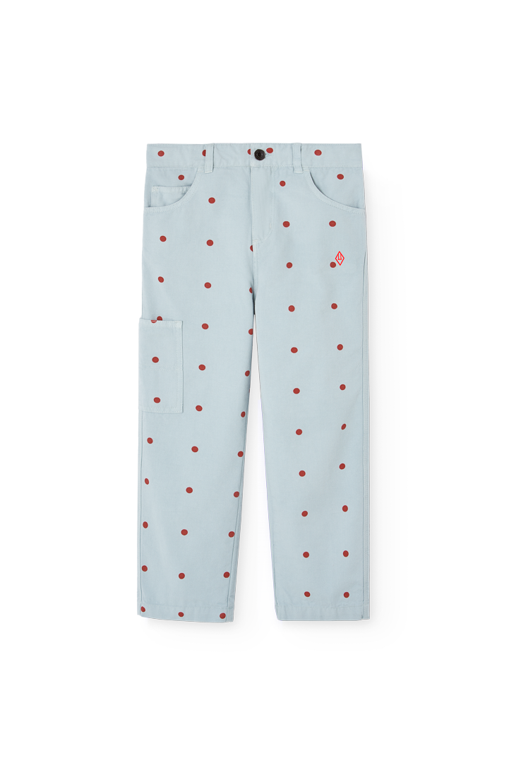 Blue Condor Pants COVER