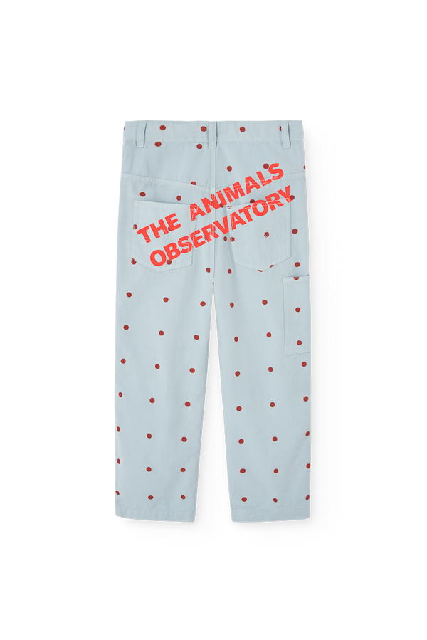 Blue Condor Pants PRODUCT BACK