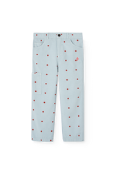Blue Condor Pants PRODUCT FRONT