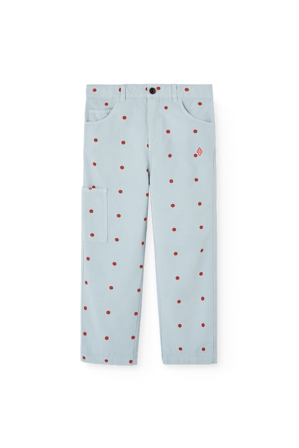 Blue Condor Pants PRODUCT FRONT