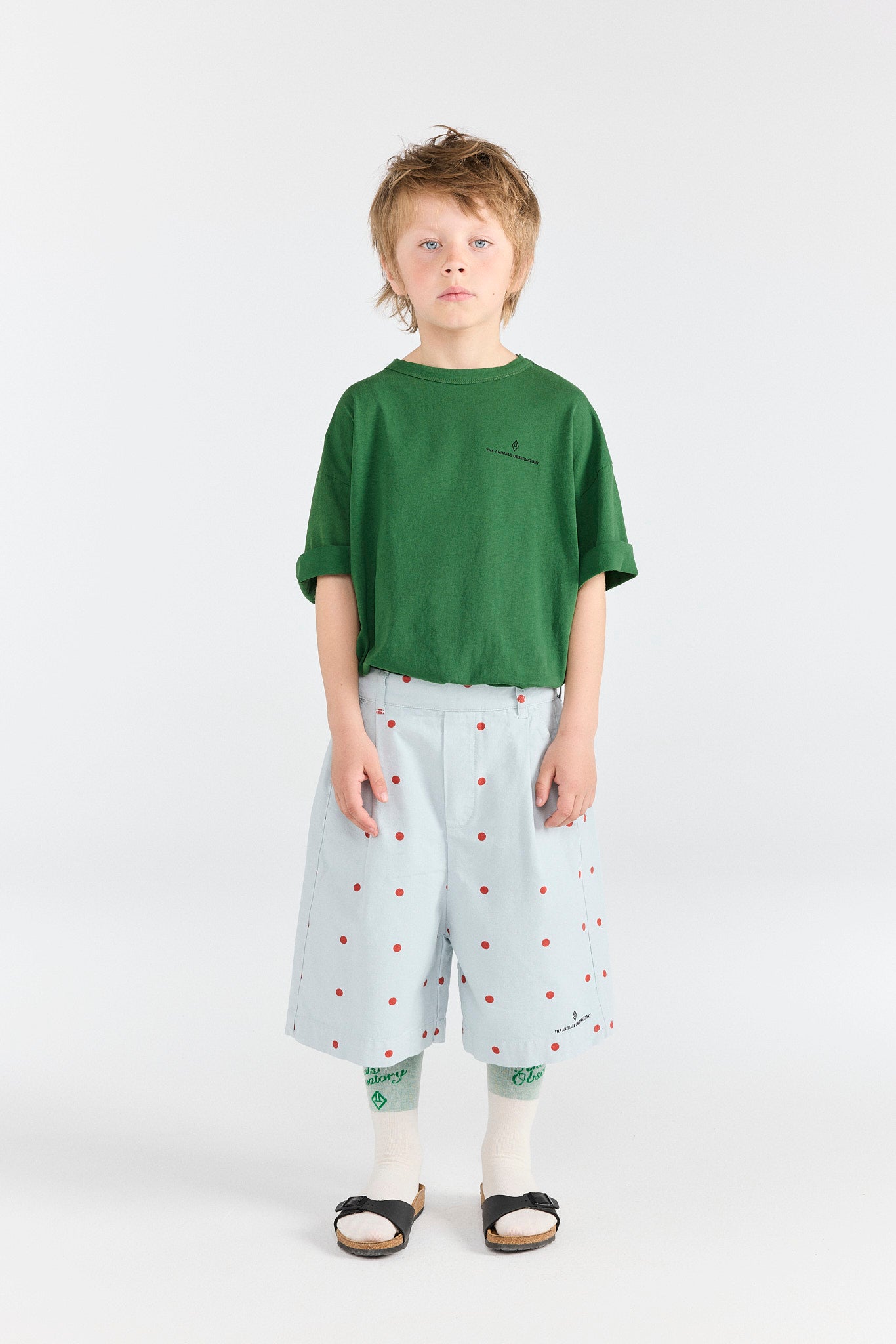 Blue Monkey Bermuda Shorts MODEL FRONT