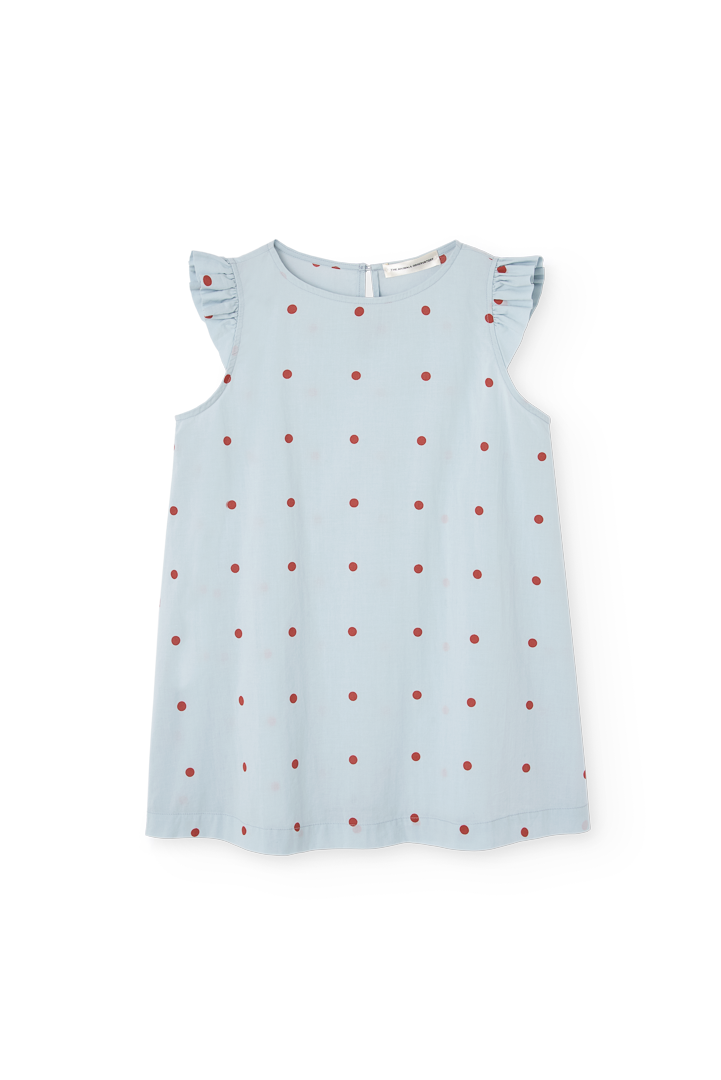 Blue Firefly Dress COVER