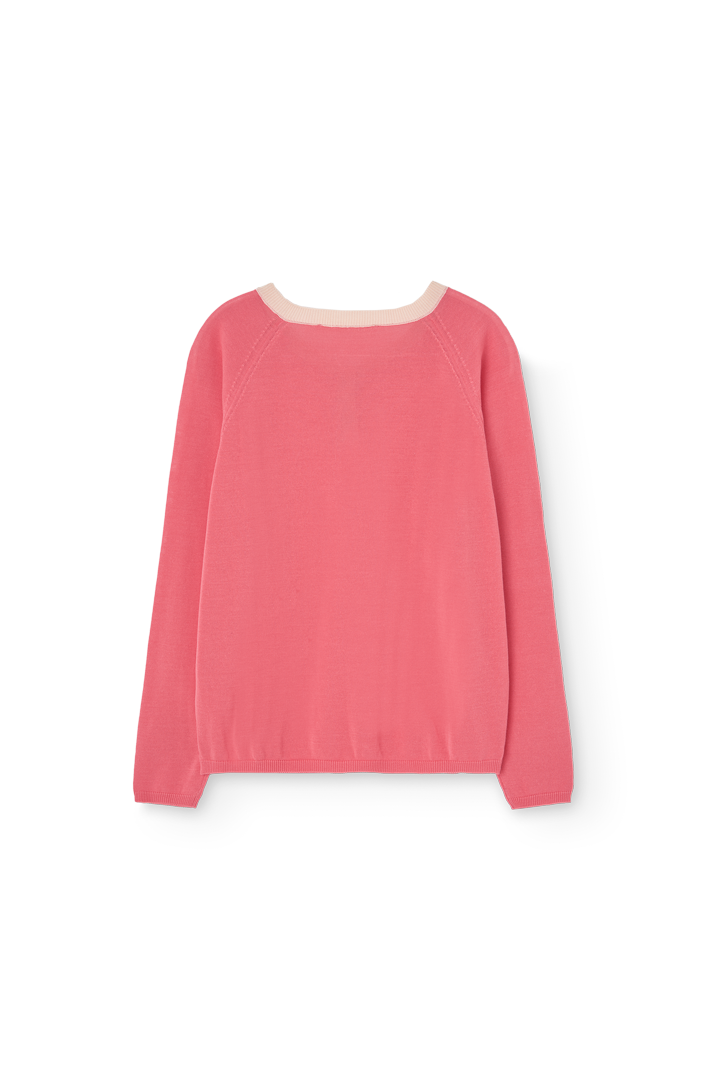 Soft Pink Bull Sweater PRODUCT BACK