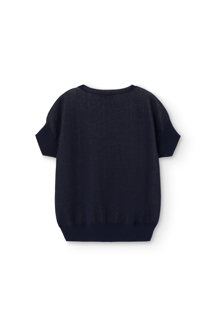 Deep Blue Bat Sweater Vest PRODUCT BACK