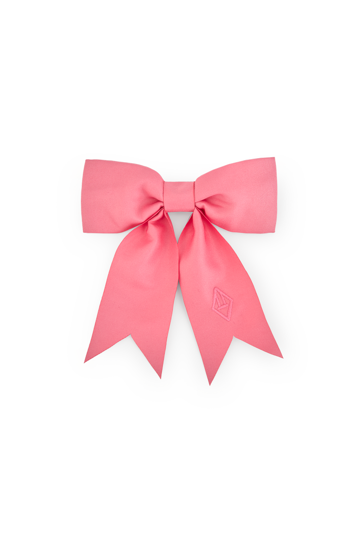 Soft Pink Coati Hair Clip COVER