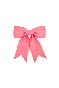 Soft Pink Coati Hair Clip COVER