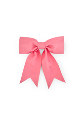 Soft Pink Coati Hair Clip PRODUCT FRONT