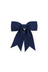 Deep Blue Coati Hair Clip COVER