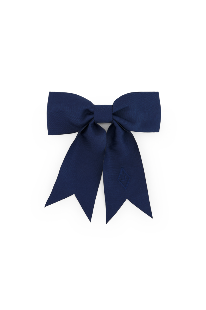 Deep Blue Coati Hair Clip COVER