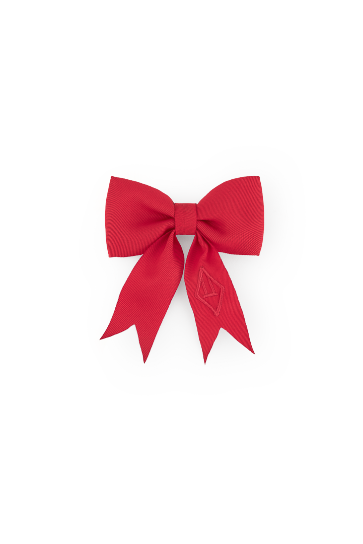 Red Small Coati Hair Clip COVER