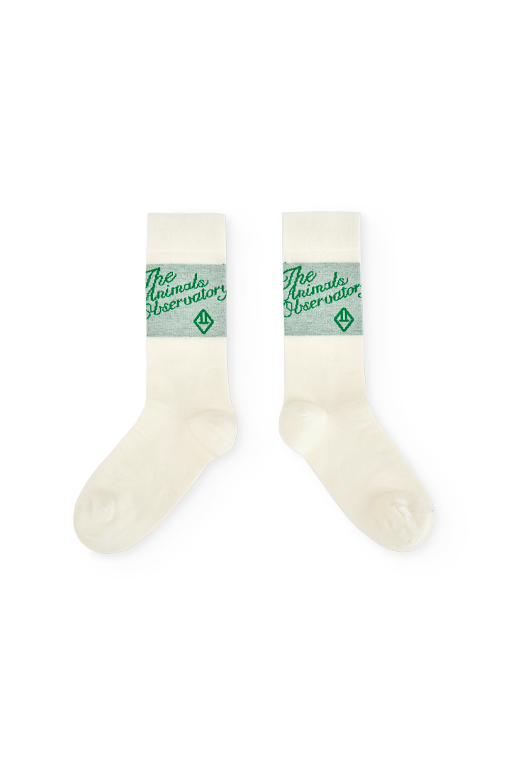 Green Snail Socks COVER