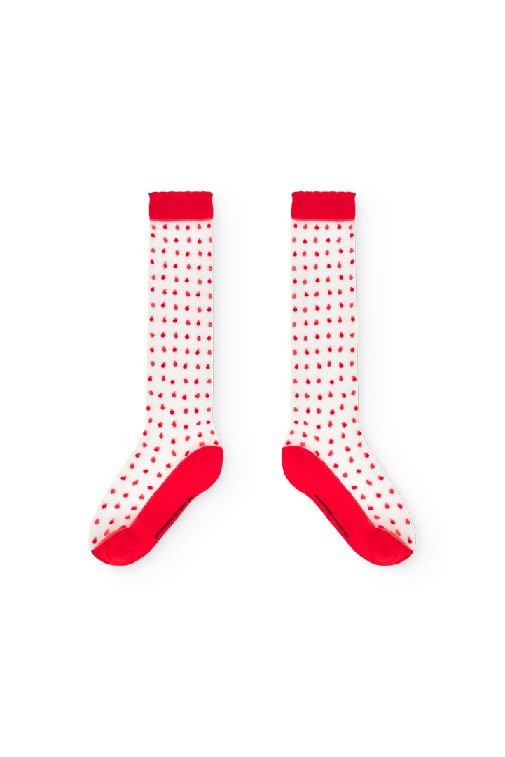 Red Hen Socks COVER