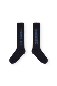 Navy Worm Socks COVER