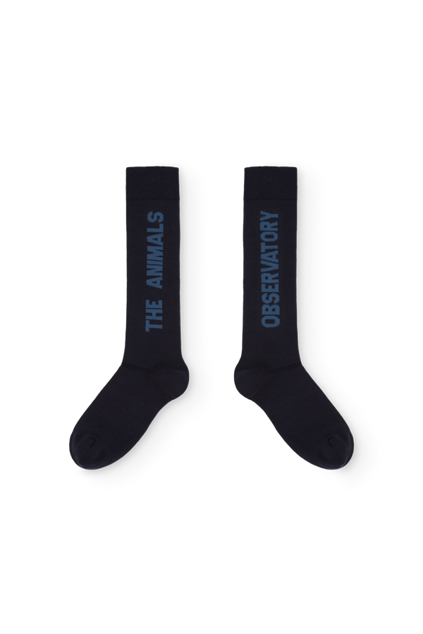 Navy Worm Socks PRODUCT FRONT