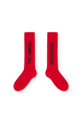 Fig Red Worm Socks PRODUCT FRONT