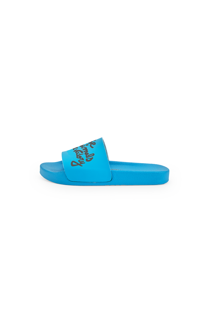 Blue Spoonbill Shoes PRODUCT BACK