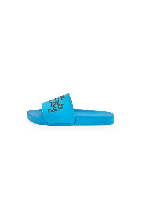 Blue Spoonbill Shoes PRODUCT BACK