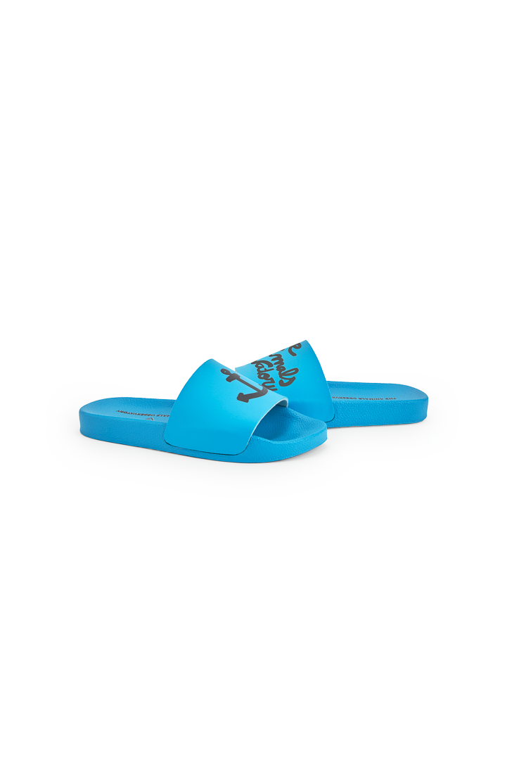 Blue Spoonbill Shoes PRODUCT FRONT