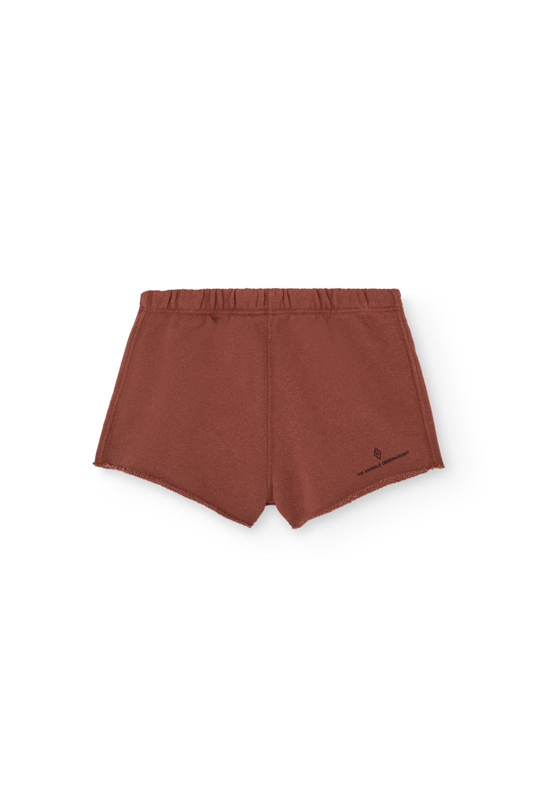 Brown Turtledove Short Sweatpants for Baby PRODUCT FRONT