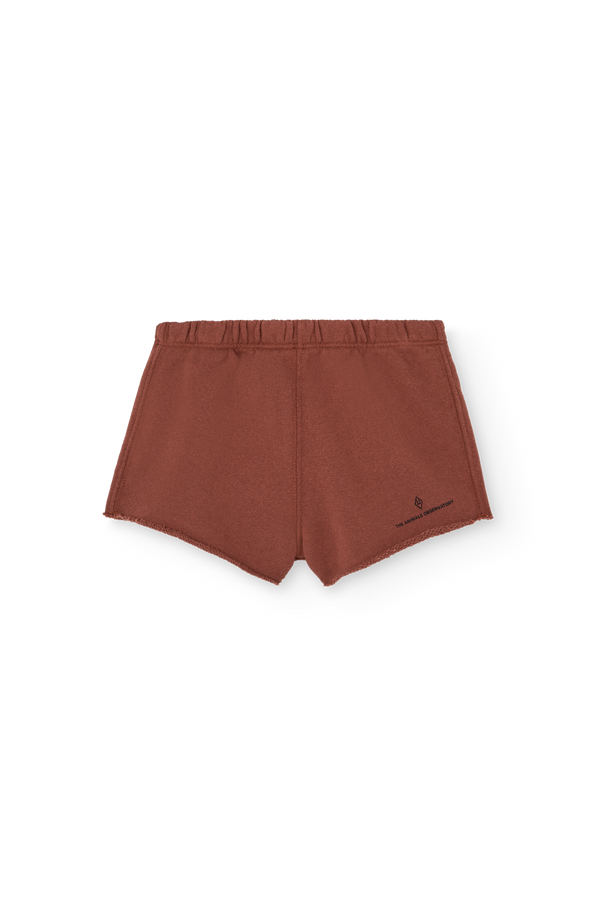 Brown Turtledove Short Sweatpants for Baby PRODUCT FRONT
