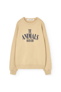 Soft Brown Koi Sweatshirt for Woman COVER