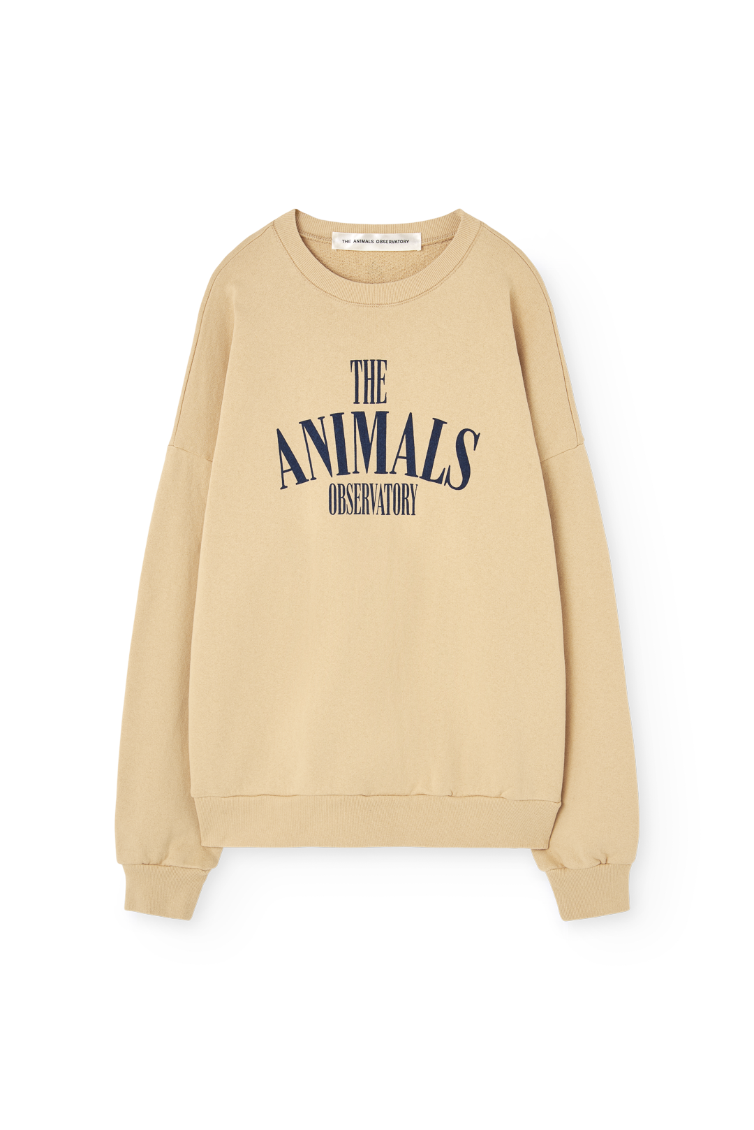 Soft Brown Koi Sweatshirt for Woman COVER